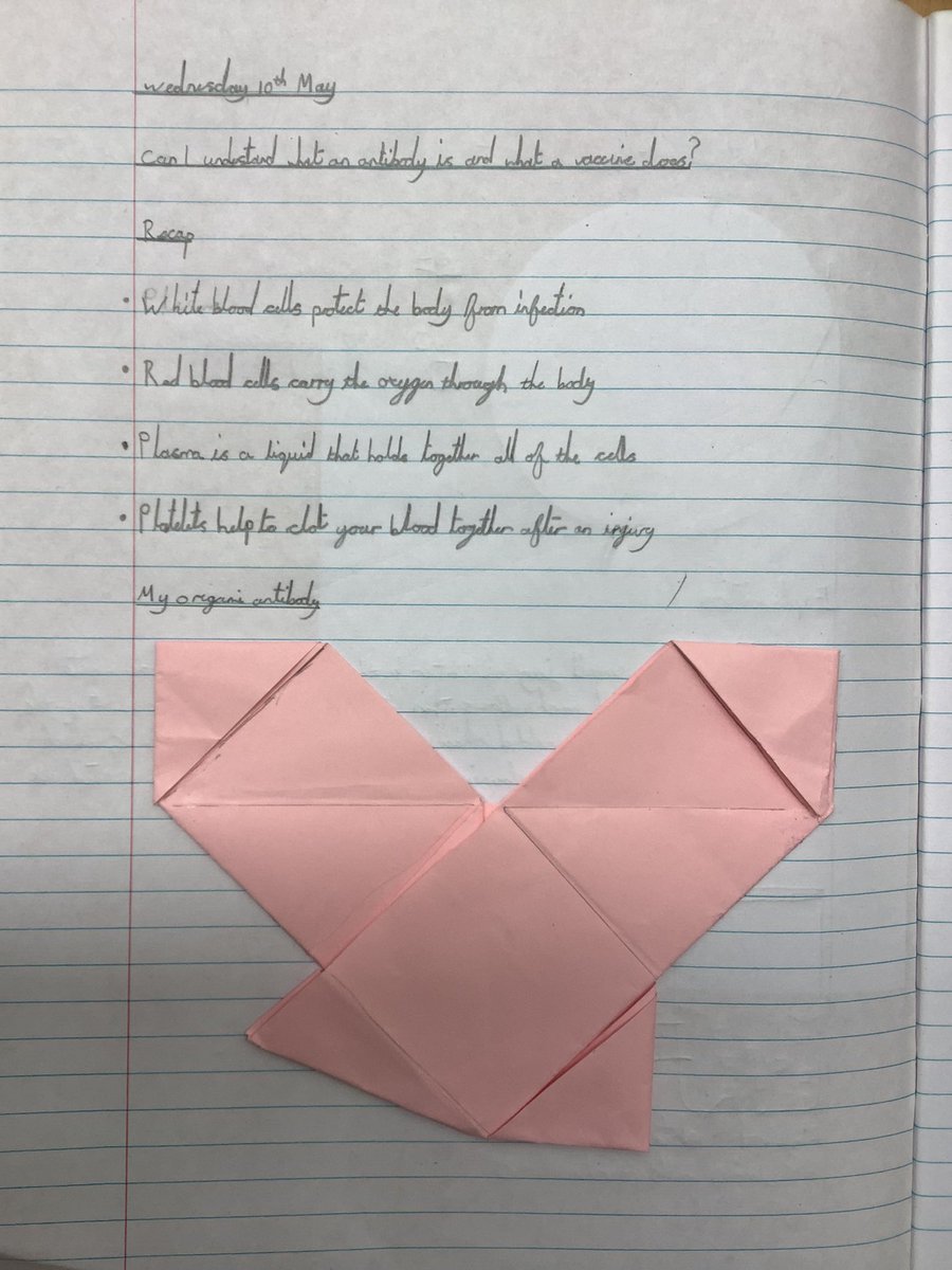 NPSMiss_Jenkins's tweet photo. Today we made origami antibodies in Science! Followed by writing up a balanced argument, asking the question ‘Should children require parental consent for vaccinations?’ #NPSScience #NPSEnglish https://t.co/z7jYXr1fY1