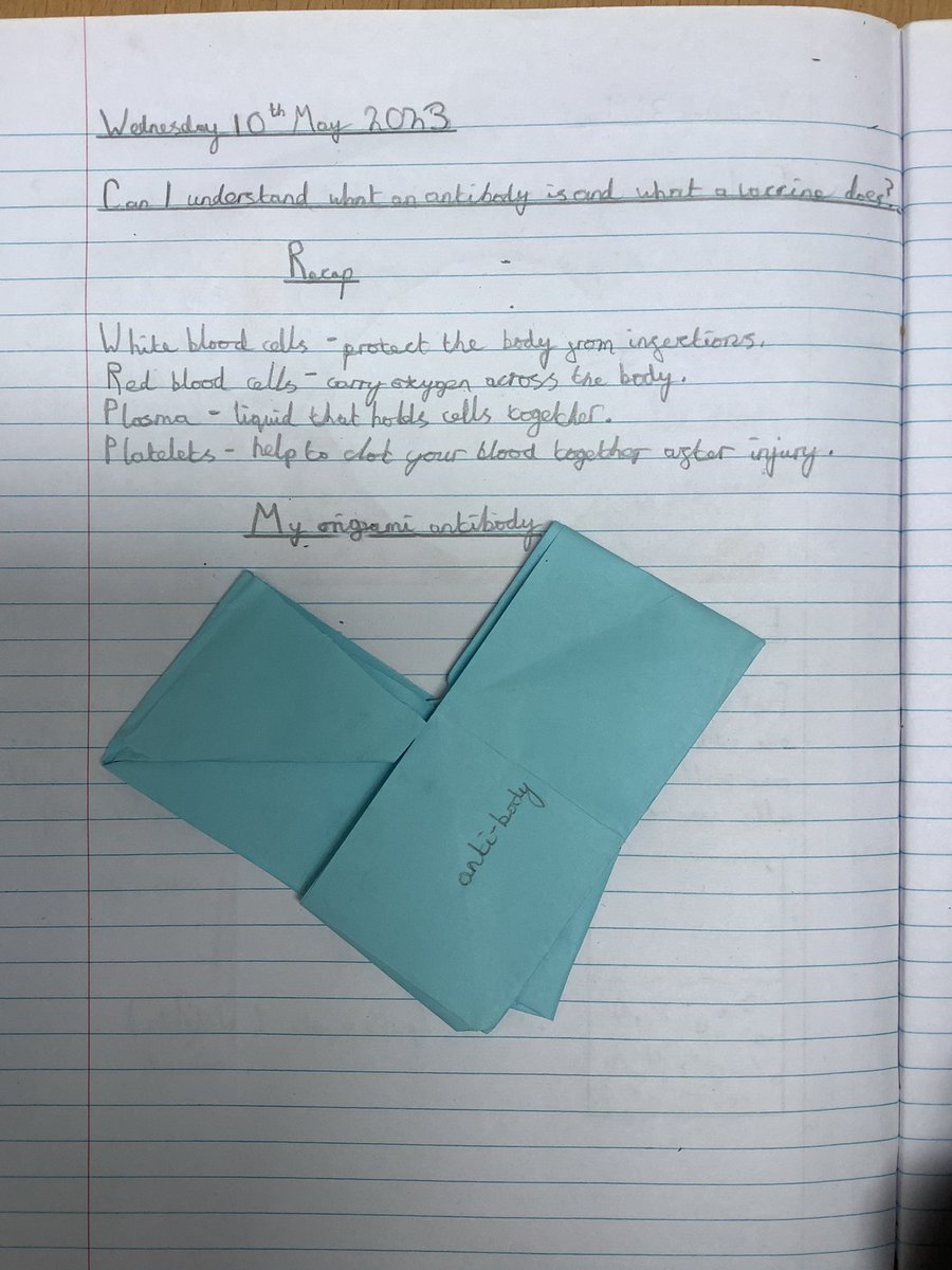 NPSMiss_Jenkins's tweet photo. Today we made origami antibodies in Science! Followed by writing up a balanced argument, asking the question ‘Should children require parental consent for vaccinations?’ #NPSScience #NPSEnglish https://t.co/z7jYXr1fY1