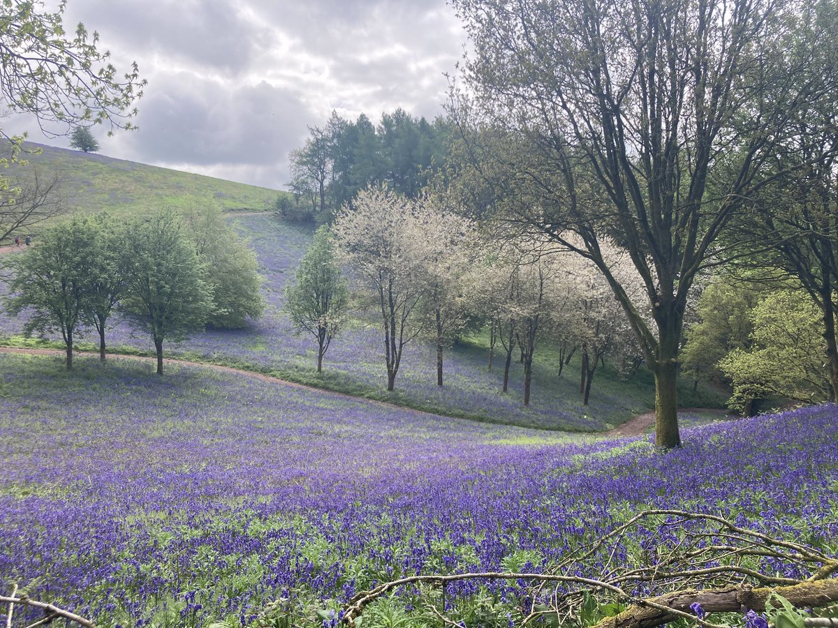 Catherine Lane tweet media