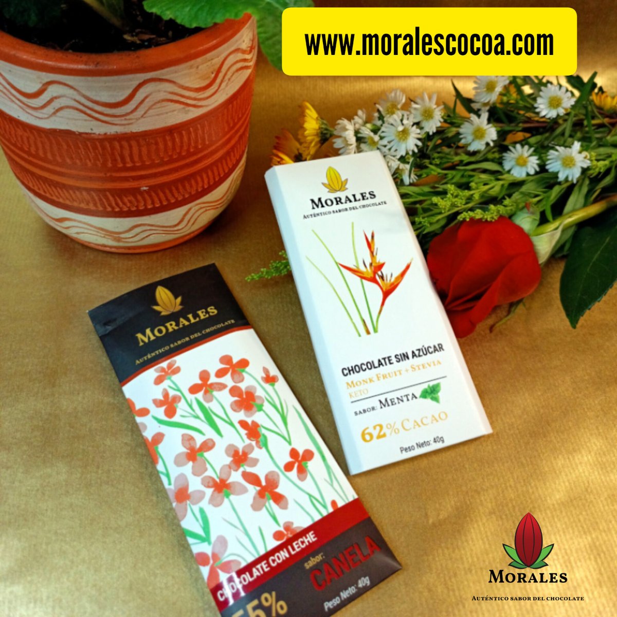 moralescocoa's tweet photo. El #cacao de Morales Cocoa es cultivado en Santo Domingo de los Tsáchilas en Ecuador, cerca de la latitud cero, lo que le da un toque único de sabor y calidad #beantobar #chocolate #ecuador https://t.co/4nZOQaB5km