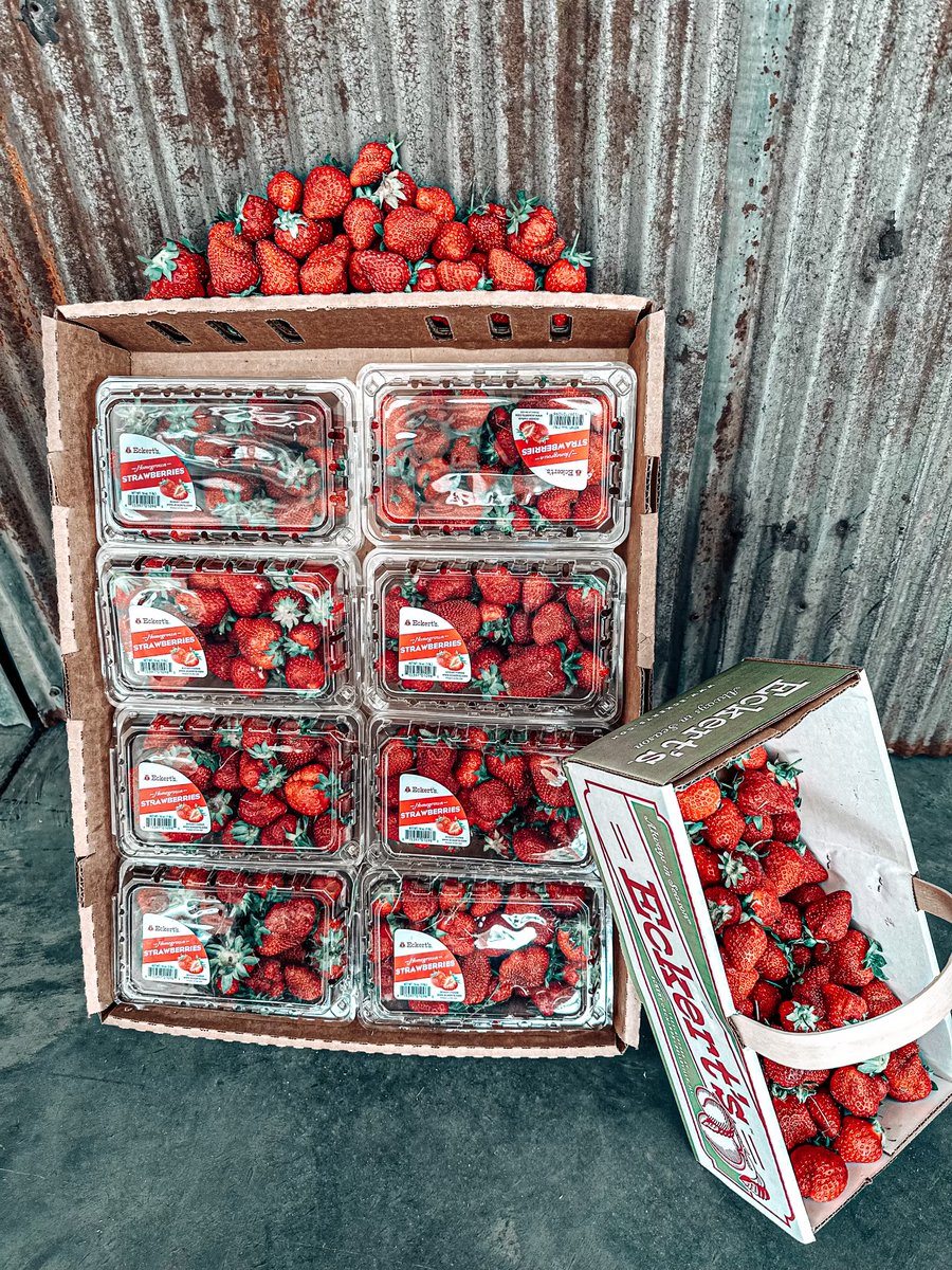 Last Day to SAVE 🍓🍓 Shop our Country Store at our Belleville Farm and enjoy a FREE flat of homegrown strawberries (8lbs), when you buy a flat of strawberries at regular price. This delicious deal ends today (5/10), so hurry in!