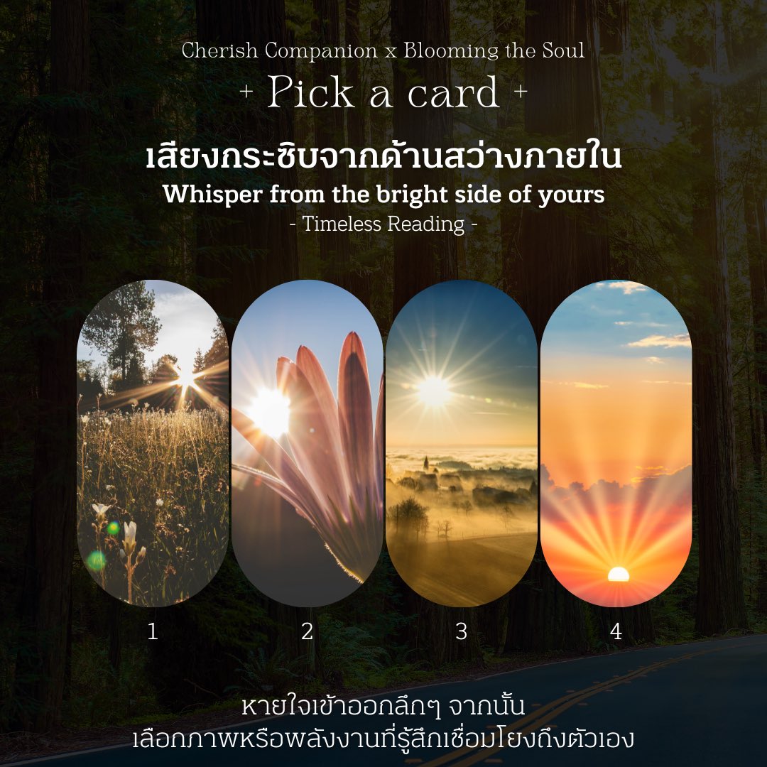 bloomingthesoul's tweet photo. เกรย์มาส่งความร้ากกกกก

เสียงกระซิบจากด้านสว่างภายใน
Whisper from the bright side of yours

คุรุ said “หากการที่เธอจมอยู่กับความมืดมิดนั้นกัดกร่อนหัวใจของเธอ หันกลับมารับฟังเสียงกระซิบจากความสว่างไสวสิ”

📌 รีทวีต เป็นค่าครู

#PickAcard #ดูดวง #pickacherish #ดูดวงฟรี . https://t.co/mjoa3P7XiN