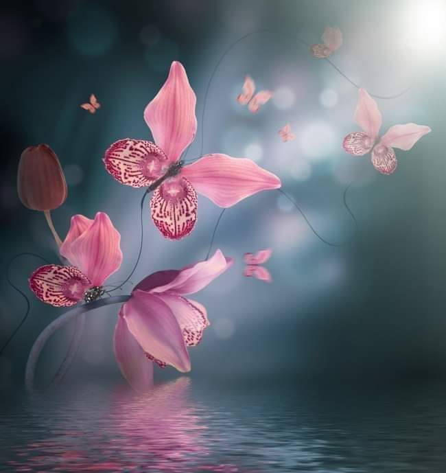 Luisa (@luisa39661913) on Twitter photo 