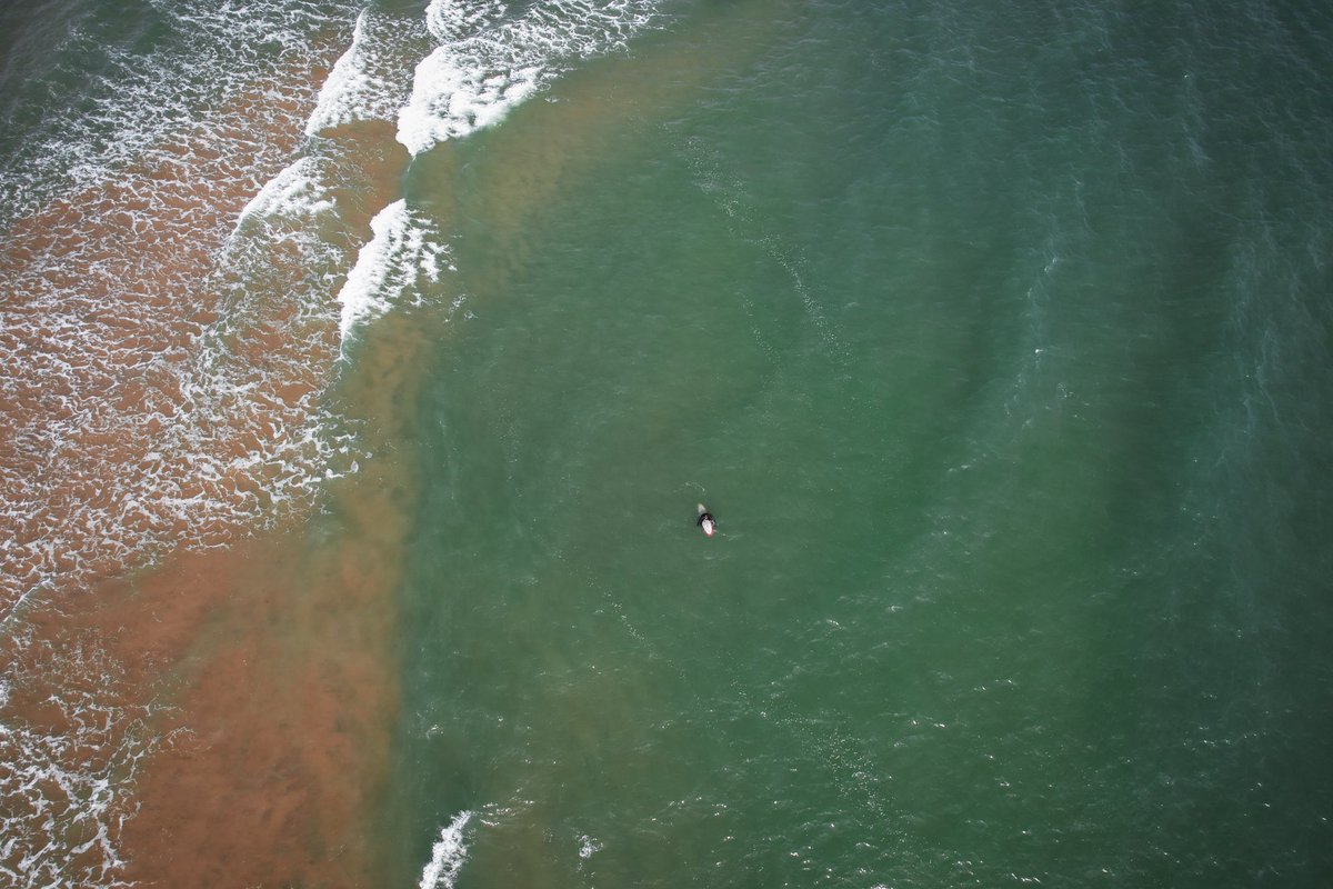 thebirdnerd7's tweet photo. Drone Shot
•
#drone #droneshots #droneshot #dji #djiair2s #djidrone #djidrones #dronie #surf #surfing #surfboard #surfboards #surfer #sufersparadise #surfers #surfsup #longisland  #surfphotography #surfphotos #surfphotographer #surfpics #surfpic #surfpictures #surflife https://t.co/3GwNkdyTEA