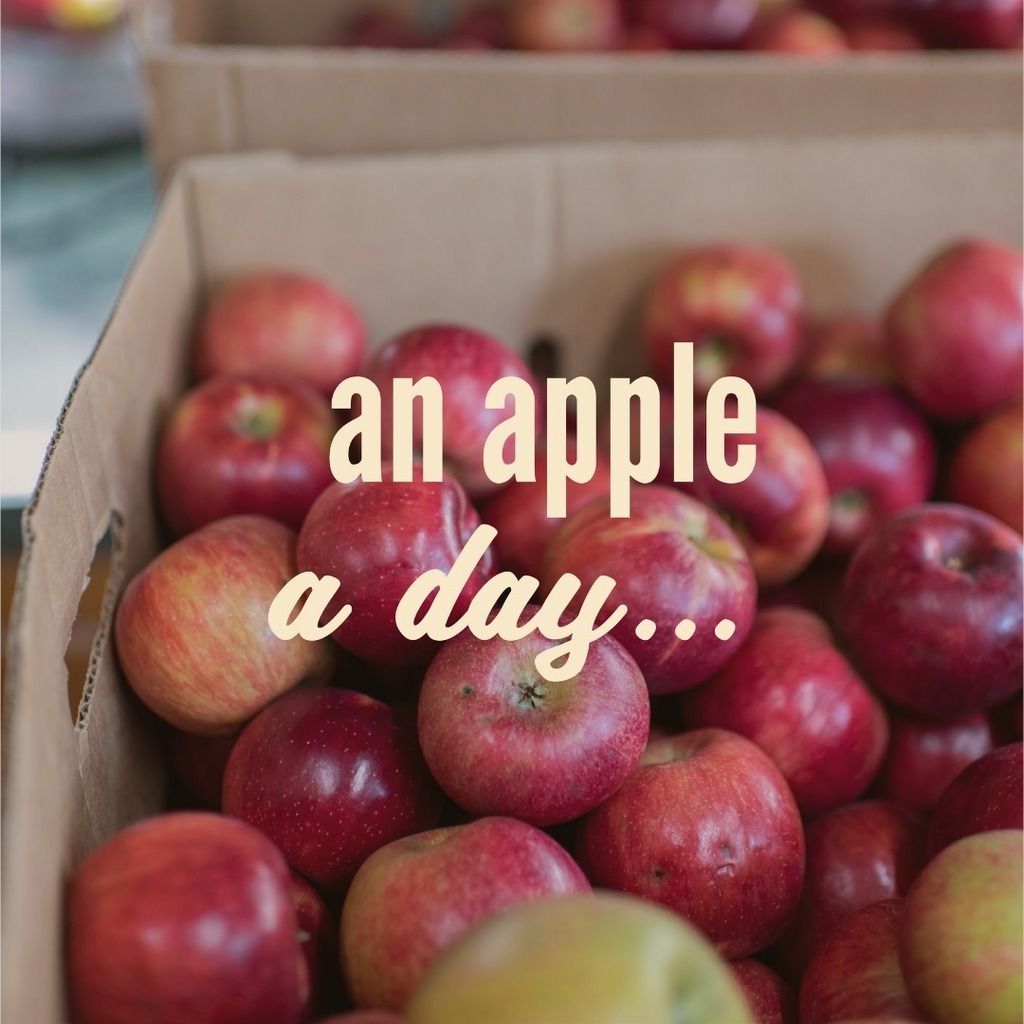 Columbia Farmers Market tweet media