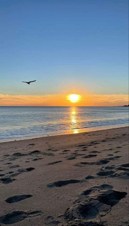 Luisa (@luisa39661913) on Twitter photo 