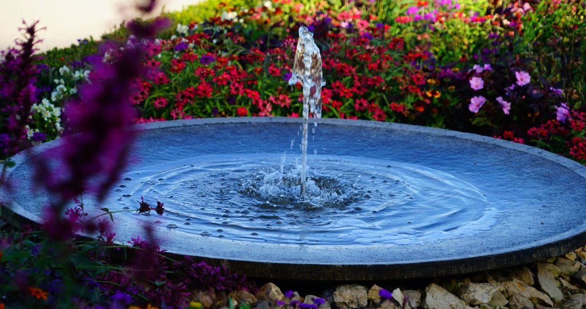 Tis’ the season for flowers and plants! Before you go shopping, learn which landscaping plants work best to complement your water feature! 
antlercountry.com/landscaping-pl…
#waterfeature #omahahomes #omahaweekend #antlercountrylandscaping