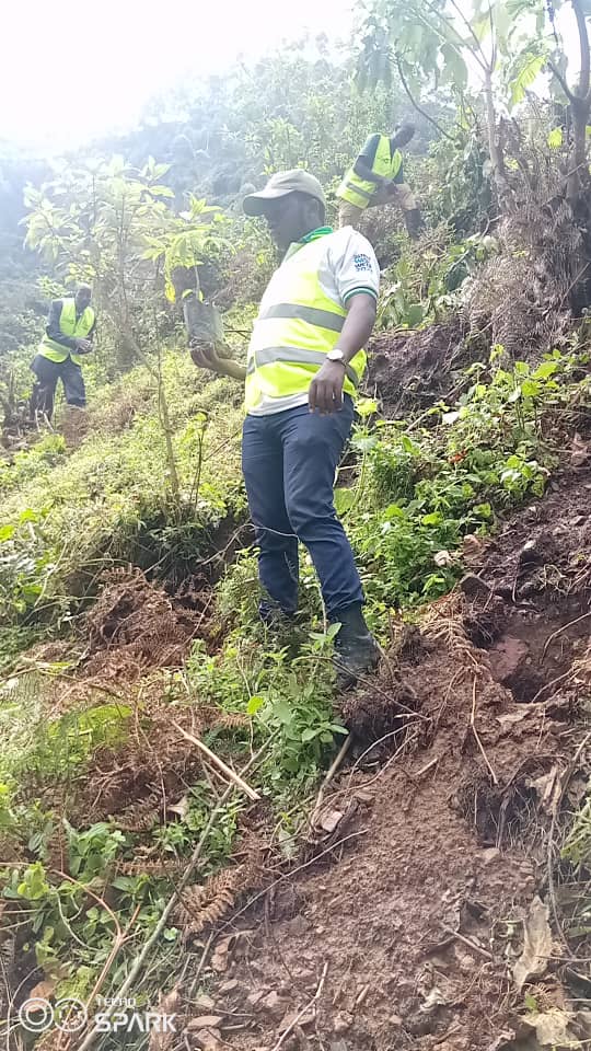 Dr_JibCares's tweet photo. #Kisoro
This Friday, 12th May! It's a #tree planting day at Kazogo Forest
As @MillionTrees_Ug we're restoring #20acres of degraded land with indigenous trees by involving local people in actions against abnormal climate change
#GenerationRestoration
@UNDPUganda @UNHCRuganda https://t.co/IBhMvS7A4v