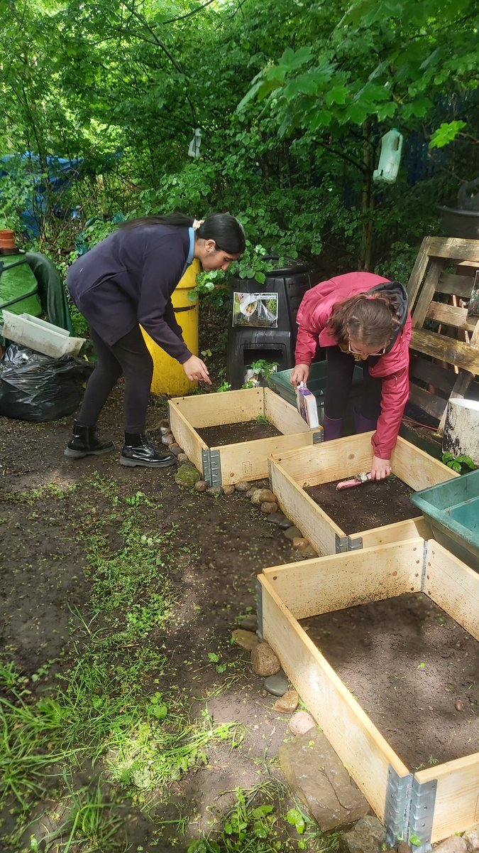 Forestschoolmvps tweet media