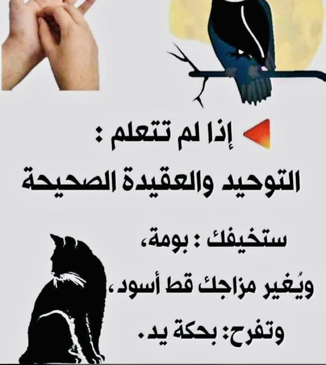 fhbb53394466's tweet photo. https://t.co/OAQJ02XvNH
