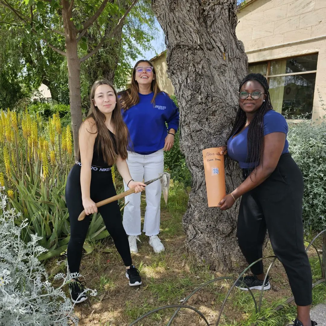 IES Son Pacs tweet media