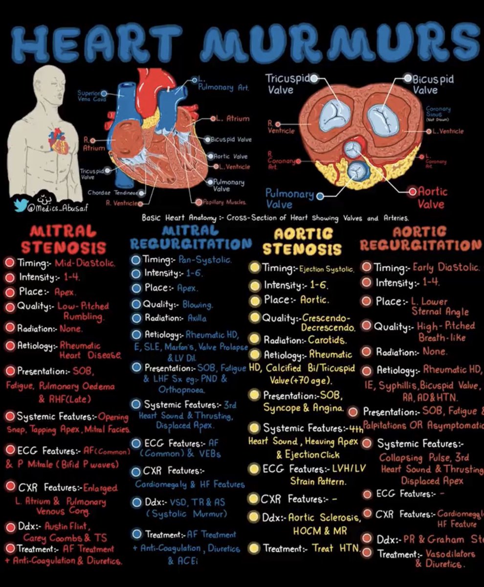 Great heart valve and murmur primer from <a href="/medics_AbuSaif/">يـزّن الغماس</a> #medtwitter #MedStudentTwitter