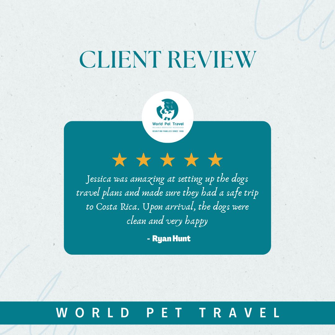 WorldPetTravel's tweet photo. We love hearing from happy clients! 😍🐾 Check out this positive review from Rayan Hunt about our pet travel services.

Call us at +1-214-396-5070 or WhatsApp at +1-214-425-7333.  📩Email Info@WorldPetTravel.com
#petshippingexperts #worldpettravel #ipata #pettravelexperts https://t.co/AATwLwdRw4