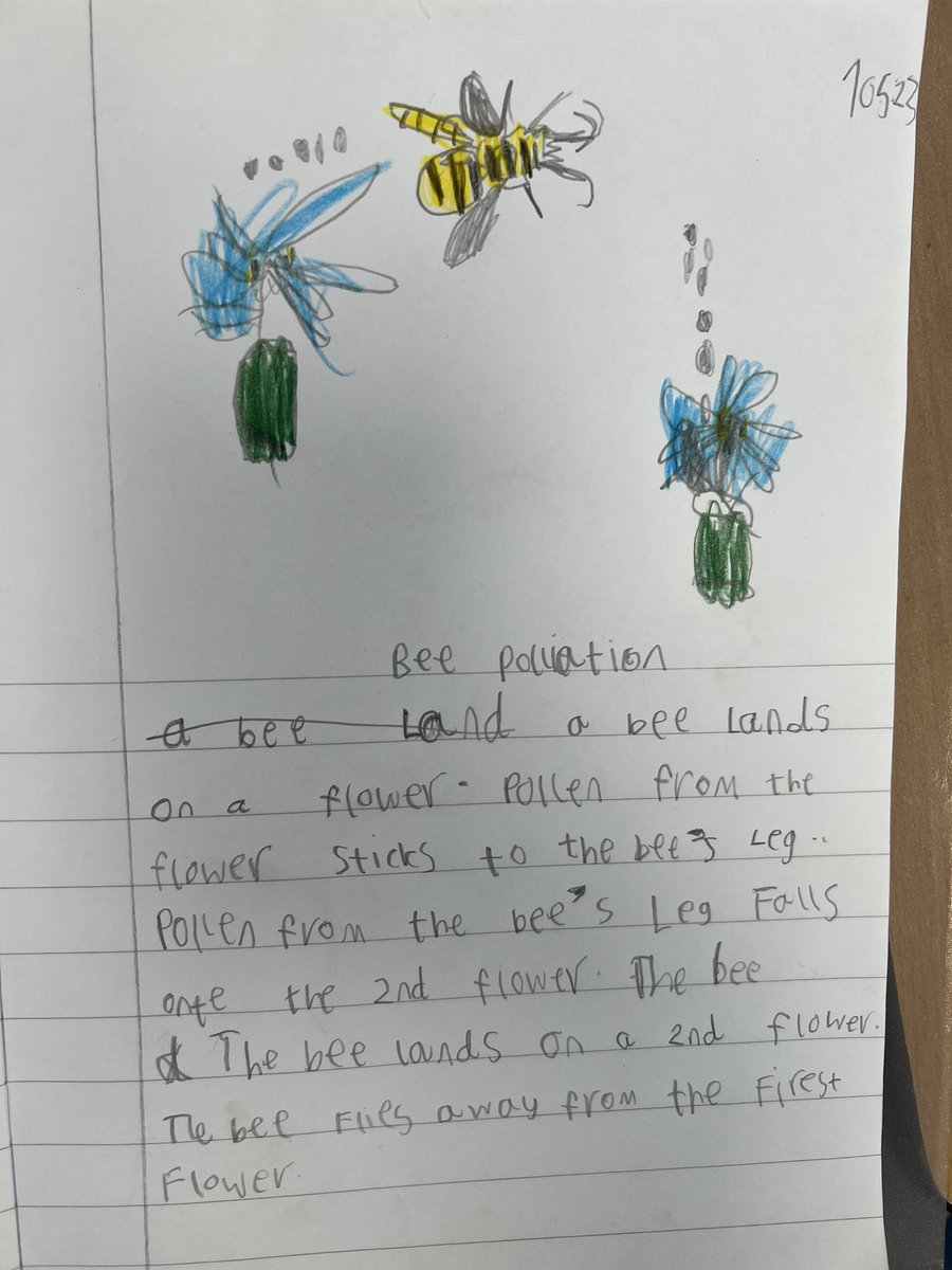 e1_stgeorge's tweet photo. Today we learnt about how bees pollinate flowers! We were the bees! 🐝🌸@e1_stgeorges @StAnnesgaCPS https://t.co/ZbvOmczoJz