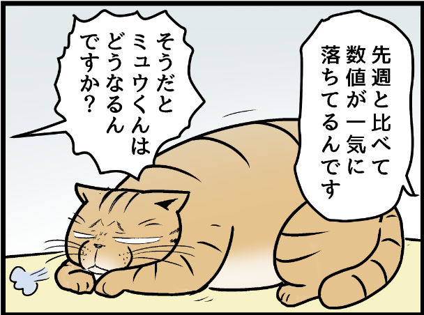 ミュウくんの体調不良はどんどん進んでしまい・・・  covovoy.blog.jpからまだ未公開の最新話を読むことができます!   #ニャンコ #まんが #猫 #猫あるある #猫漫画 #ペット #飼い主 #エッセイ漫画 #キャット #猫のいる暮らし