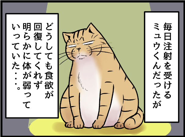 ミュウくんの体調不良はどんどん進んでしまい・・・  covovoy.blog.jpからまだ未公開の最新話を読むことができます!   #ニャンコ #まんが #猫 #猫あるある #猫漫画 #ペット #飼い主 #エッセイ漫画 #キャット #猫のいる暮らし