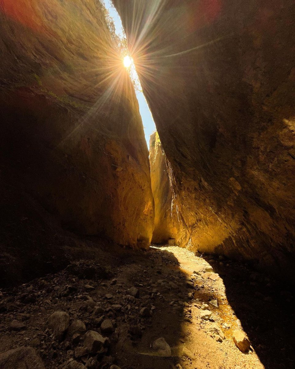 南部カラブリア州にあるシーラ国立公園は、生物圏保存地域（ユネスコエコパーク）。雄大な大自然が広がり、ヴァッリ・ルーペ州立自然保護地区や、秘境の滝とキャニオンも楽しむことができます。

📷 IG teresa.schiera
📷 IG amaryllis_maggio_

#ilikeitaly #InsiderTips