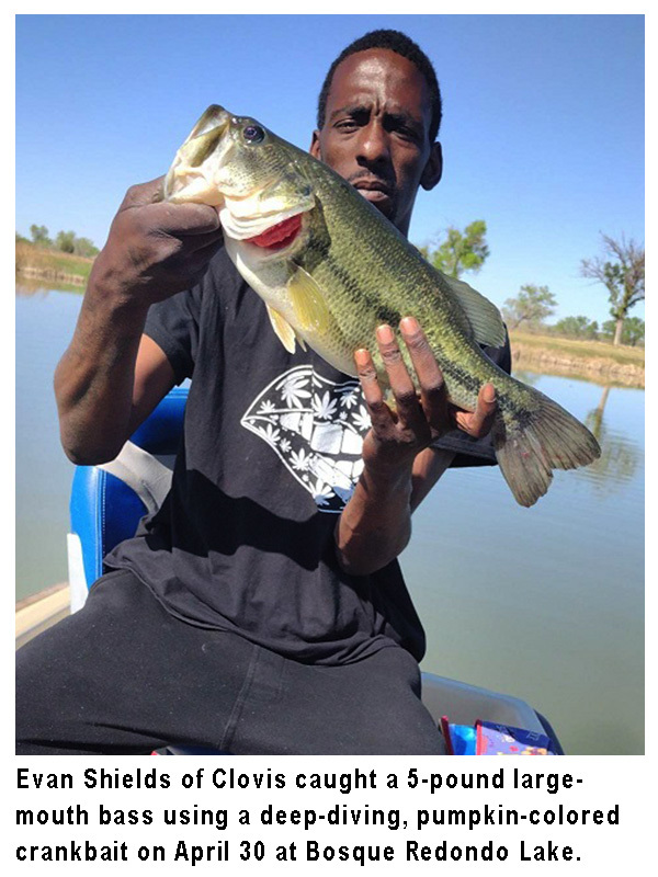 NM Game and Fish on Twitter "This fishing report, provided by Dustin