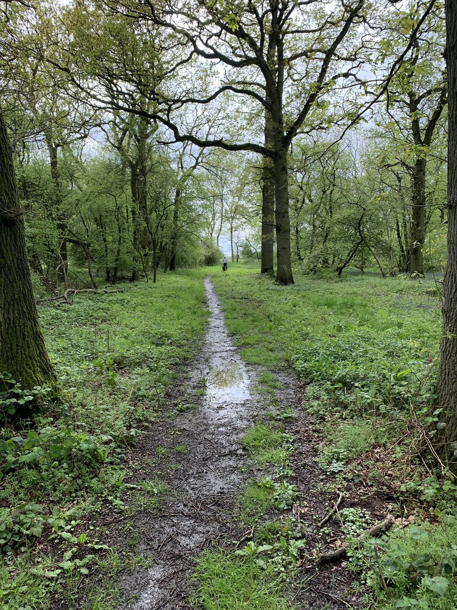 Should we wait for him? Nah...

<a href="/Gcarldane/">Gordon Morrison</a>