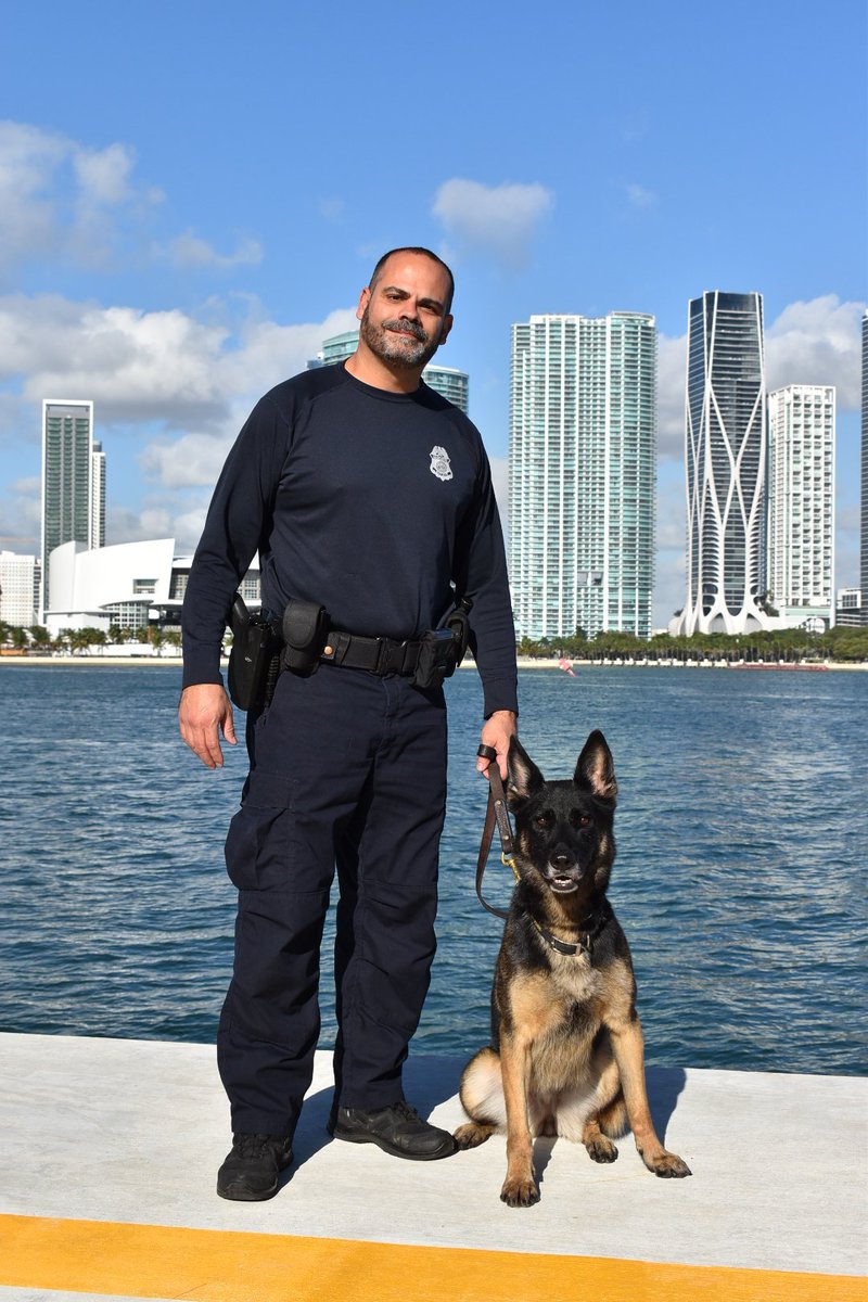 OFOEAC's tweet photo. This week's #WeeklyWoofs takes us to sunny Miami, where Enforcement K9 officer Alvarez and his paw-tner "Dona" protect our frontlines! ☀️🌴🐾

In their 5 1/2 years together, this South-Florida tandem has seized dozens of weapons, magazines and ammunition. 👏

#WorkingDogWednesday https://t.co/IwGCRjKvy3