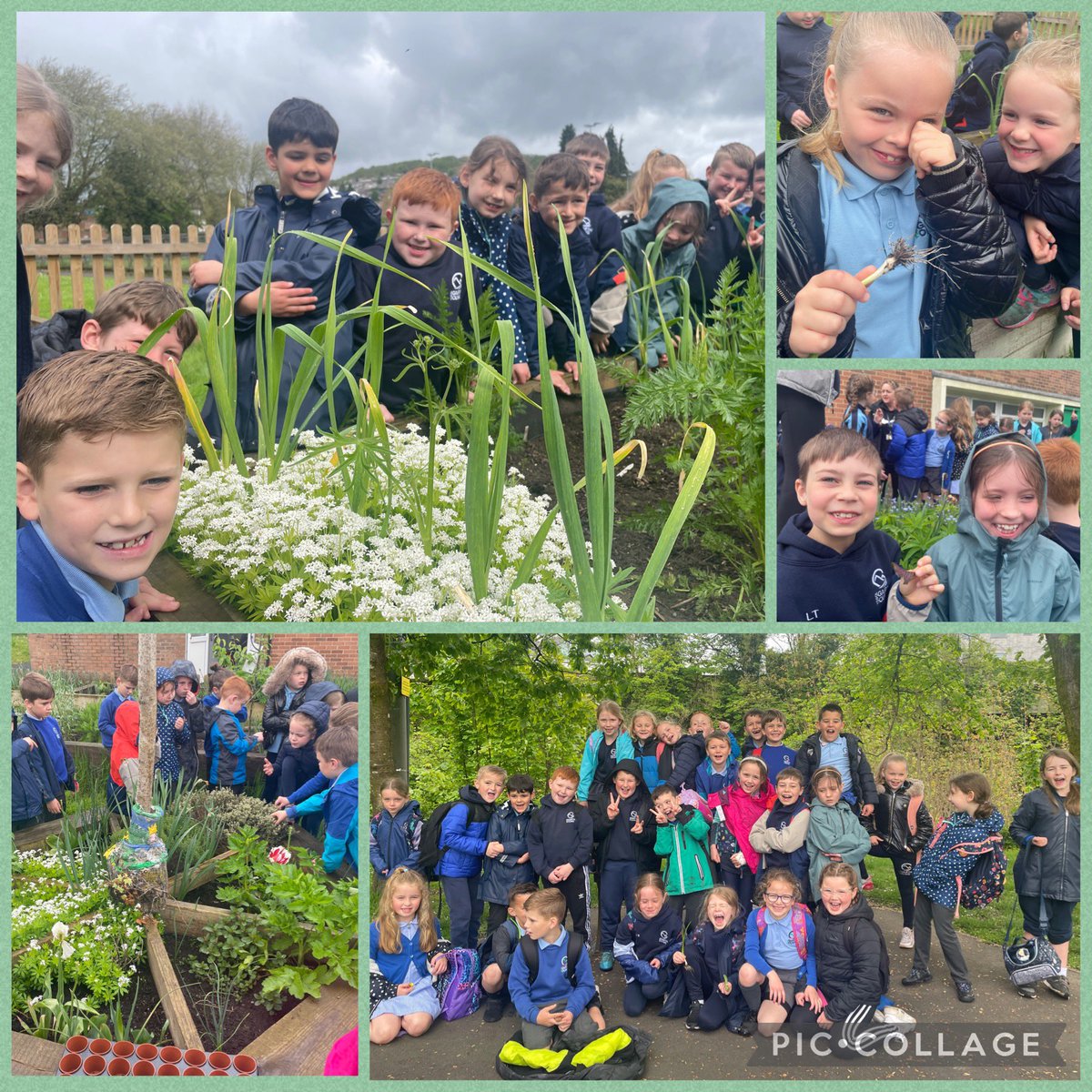 Ysgol Isaf Garth Olwg tweet media
