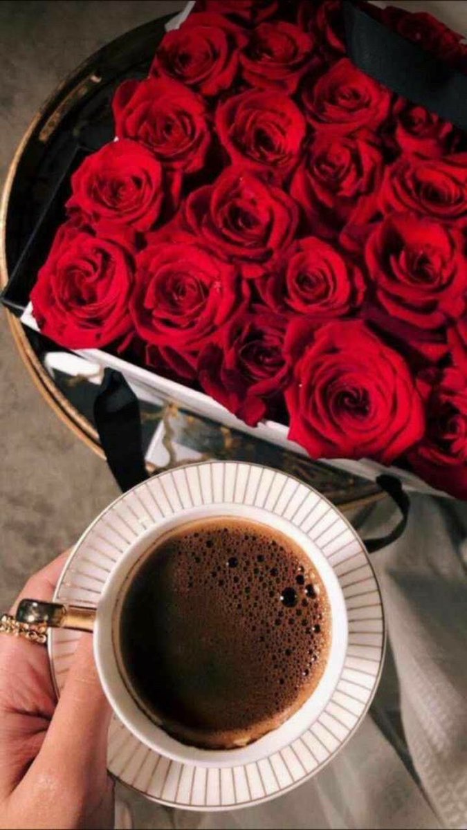 ↵ ⇣
     «مساء الُِلُِي وُدِِه يتقٌهـّوُى أوُصافُ خـِلُِه.»♥️.
⊰✿♥✿⊹⊱
#مساء__الخير