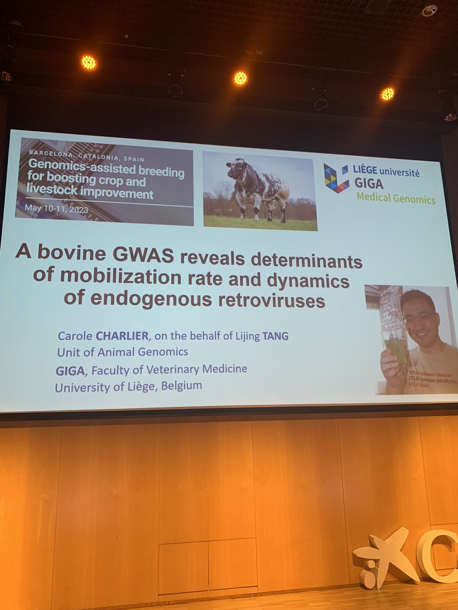 gcostamm's tweet photo. Proud of my friend @tang_lijing & team! Well done!
#BreedingConference23 @CRAGENOMICA https://t.co/Wd3KVZMNRS