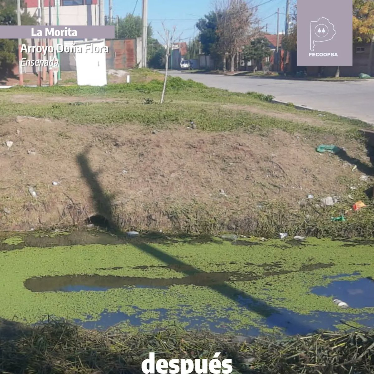 fecoopba's tweet photo. 👋😚Holaaaa!!!
Les mostramos el después y antes del trabajo realizado por #Cooperativa 👷🏾‍♂️La Morita en 🌊 Doña Flora
📍 Ensenada . https://t.co/MuZGrYl4e0
