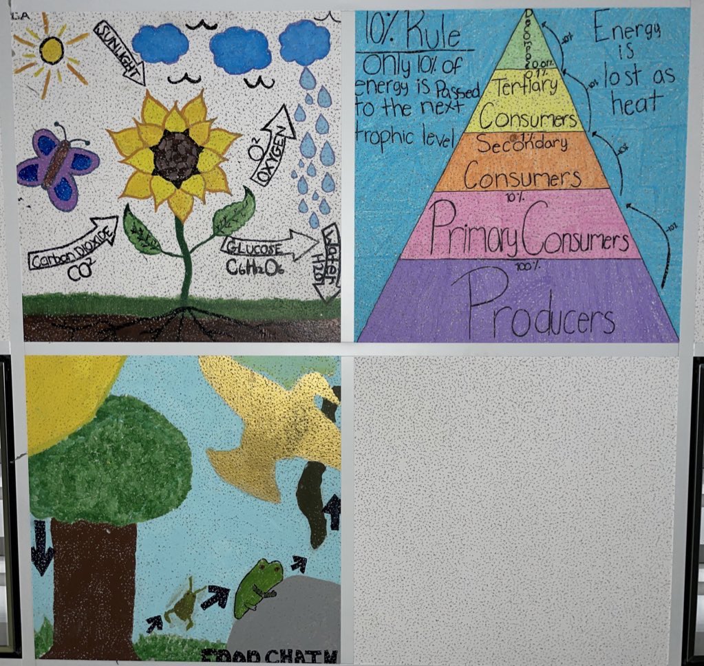 AllStarCollins's tweet photo. A Year In The Making: The Biology Ceiling Tile Project

I started this last year in hopes that my students would decorate tiles that would double as art and instructional aids.

It’s safe to say my students SHOWED OUT and we are JUST GETTING STARTED!

#AHughesDeal
#BioIsLIFE https://t.co/IVNwcsaLYf