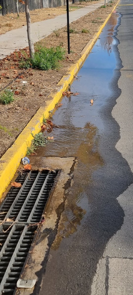 romantxu's tweet photo. Pérdida de agua en Av. Pie Andino al llegar a Vía Panorámica
@lo_barnechea
@CristobalLira

#sustentabilidad
#cuidemoselagua https://t.co/xpsf4fZec2
