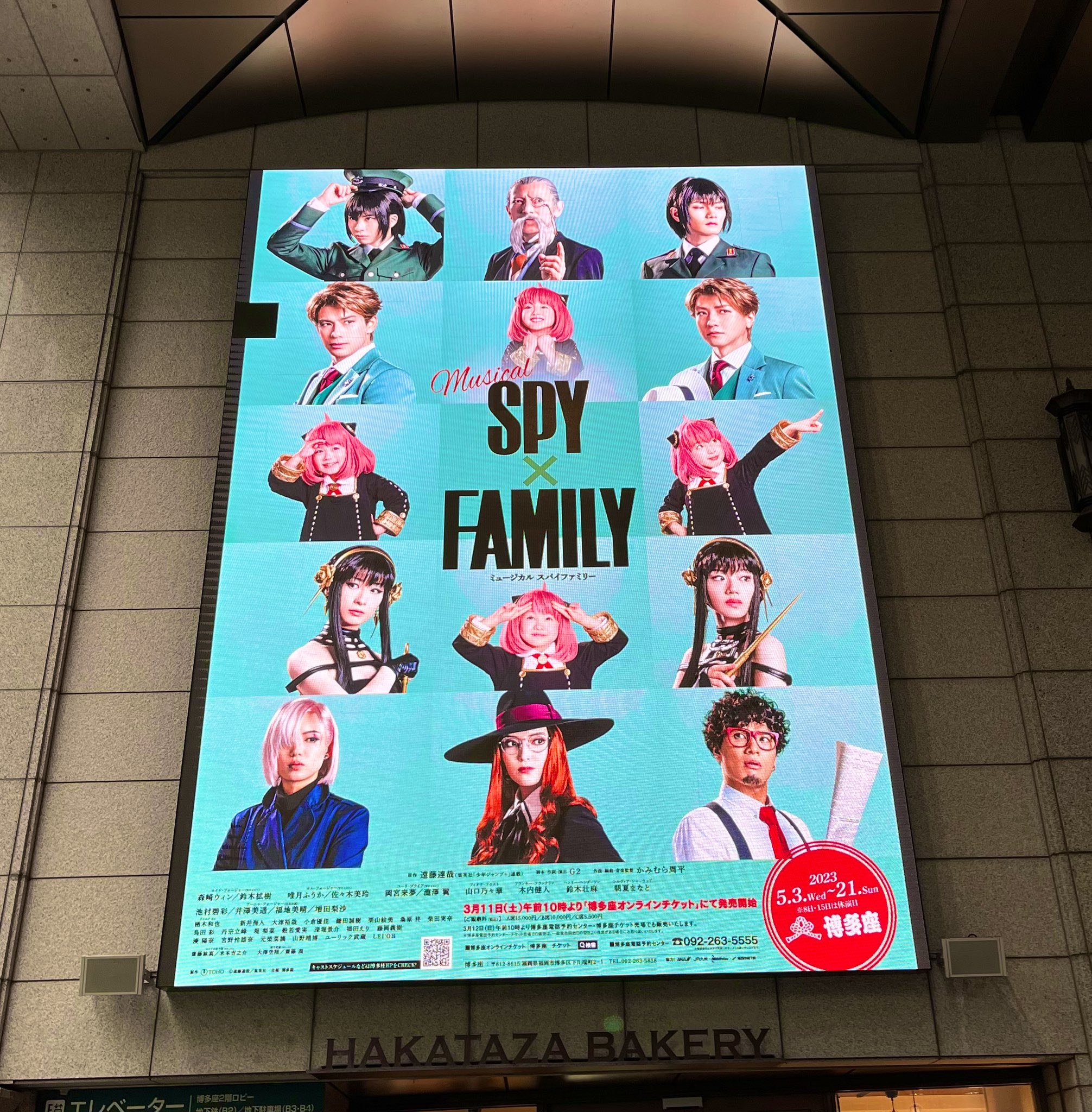 Musical SPY x FAMILY Blu-ray Standard Edition Version S