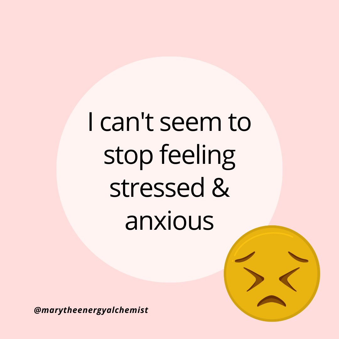 MplsHealthCoach's tweet photo. Hey, I’m Mary your go-to gal for all things energy
When I’m not teaching others how to increase their energy, you’ll find me hanging with my family
If you want to reduce stress then you gotta hit up my DMs or book a chat with me to SHIFT YOUR SYMPTOMS
#feellikecrap #energysupport https://t.co/eYwEsy2JOm