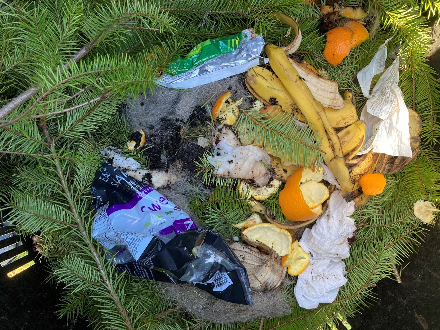 WA Department of Ecology on Twitter "Keep compost clean! Plastics