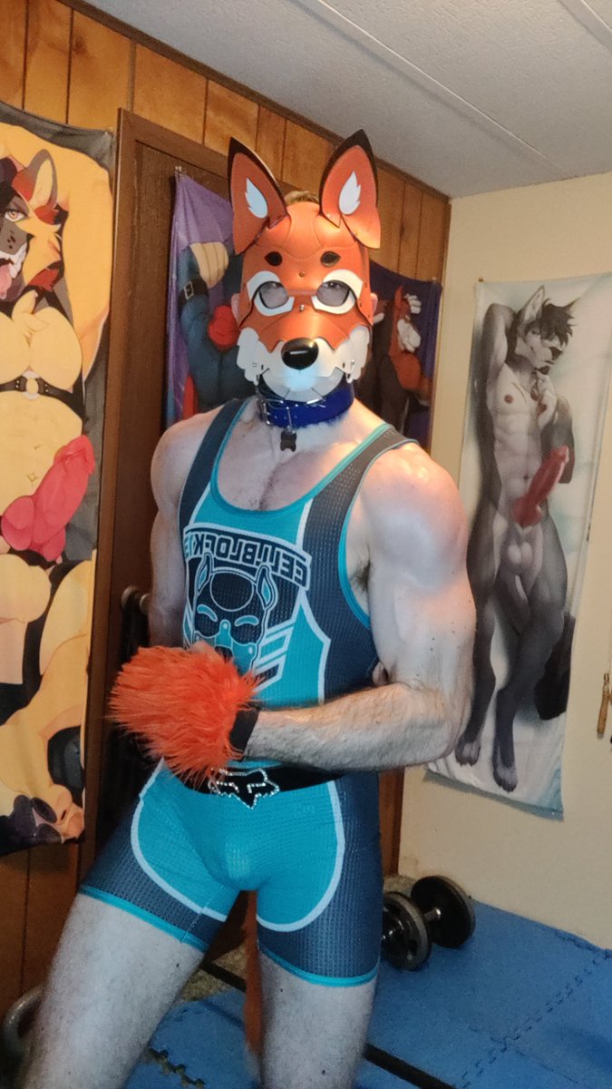 YiffyFox91's tweet photo. Who wants to try and pin this foxy for humpday🍑😈 #fitfox #onesie #cellblock13la #HumpDay #puphood #fitnessfox #puppride https://t.co/kVHP52bsh0