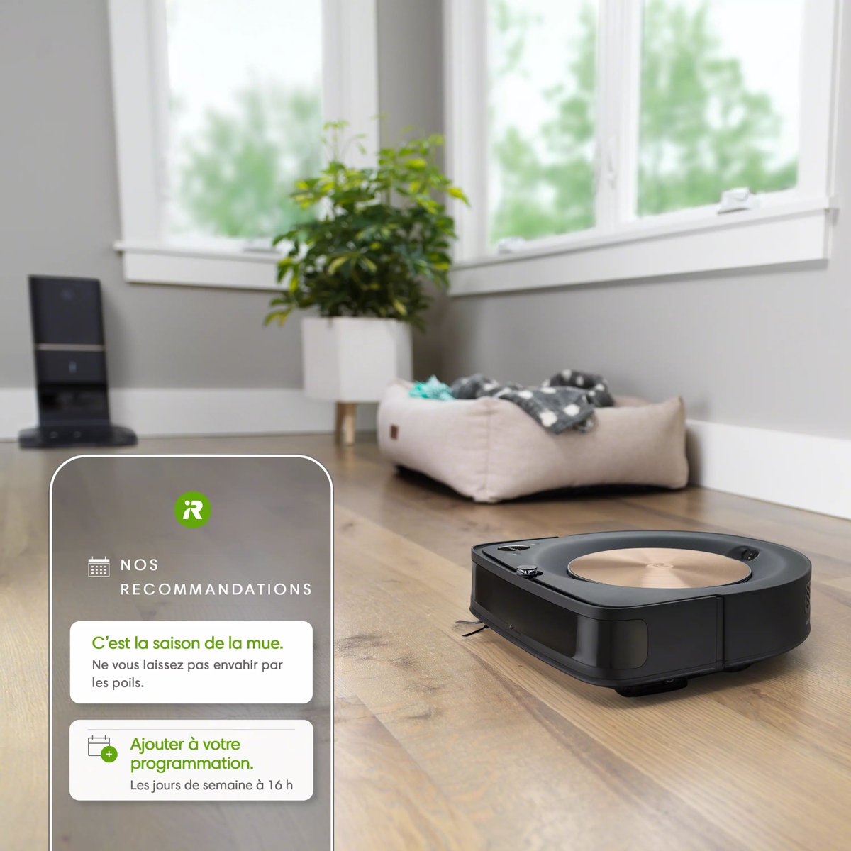 C’est la saison des mues pour nos toutous 🐶

Plus besoin de courir après les poils, #Roomba s’en charge !  

Découvrez toutes les fonctionnalités spécialisées pour les animaux de compagnie sur notre site 💻