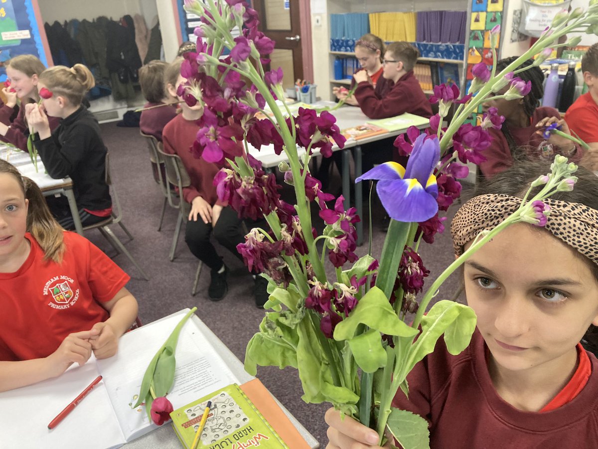 MelthamMoor's tweet photo. Itβs smells beautiful in Y5 this afternoon! Our fabulous scientists are eagerly dissecting flowers in order to identify the male and female reproductive parts #MMScience #MMY5 https://t.co/UP0T4jRz03