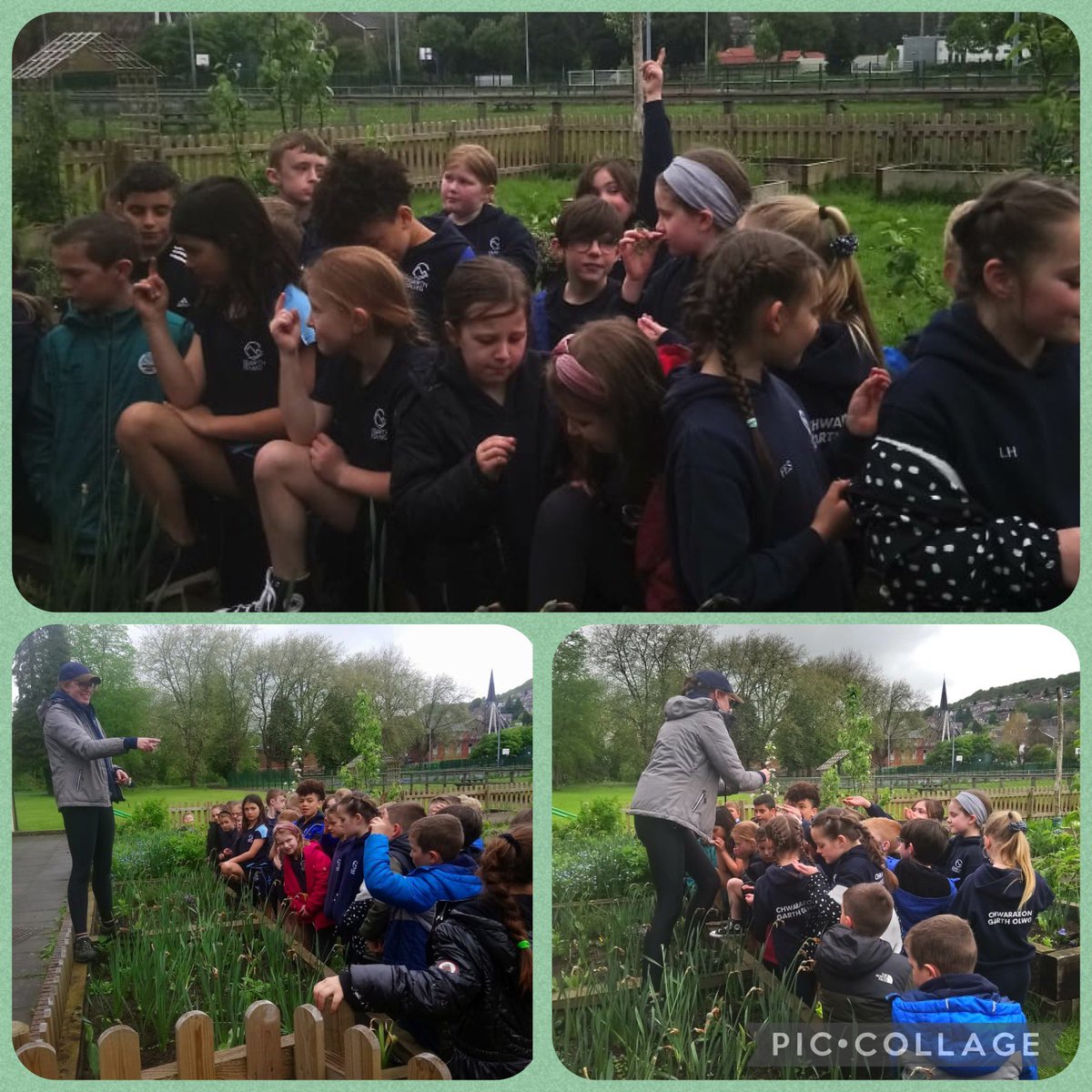 Ysgol Isaf Garth Olwg tweet media