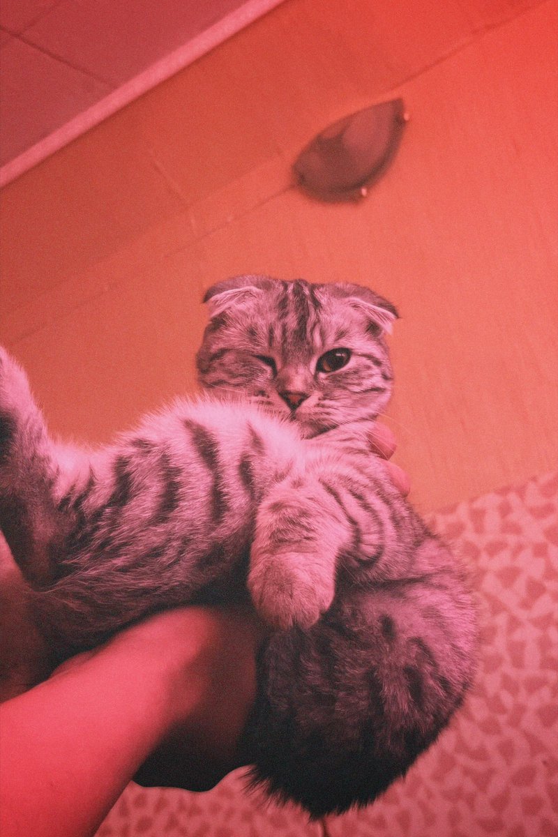 Вам подмигнули😉ньо огом наьа красивая🥰