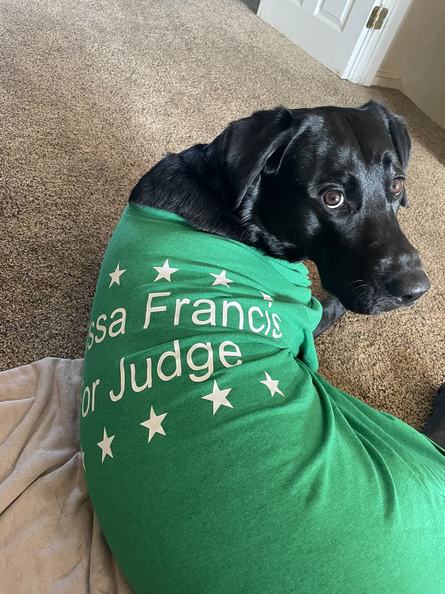 Francisforjudge's tweet image. Murphy says “VOTE FOR MELISSA on May 16!”
Ballot #22 and #27!