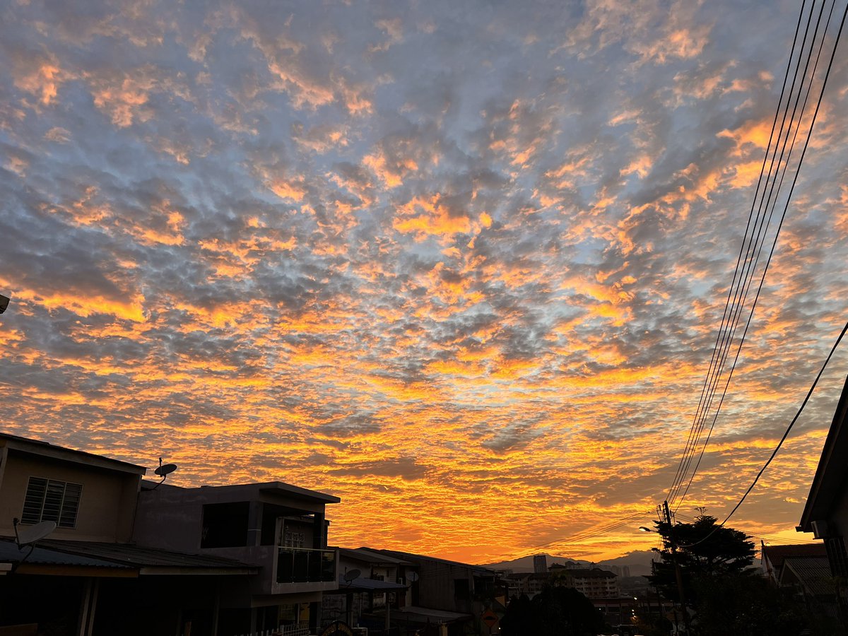 agnes2791's tweet photo. A view before work ❤️🌻 Thank you world https://t.co/59a2j2v5u2