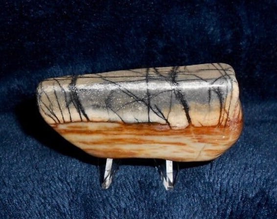 RockLadyRocks's tweet photo. 25% off orders & free mailing at my #etsy shop: Scenic #PICASSO MARBLE PICTURESTONE on Easel*from Beaver County, #Utah *63 mm X 31 X 16 mm*61.8 grams*2.2 ounces #utahrocks #picturestone https://t.co/R1n3PO4TUV https://t.co/6UkuJ4wPtd
