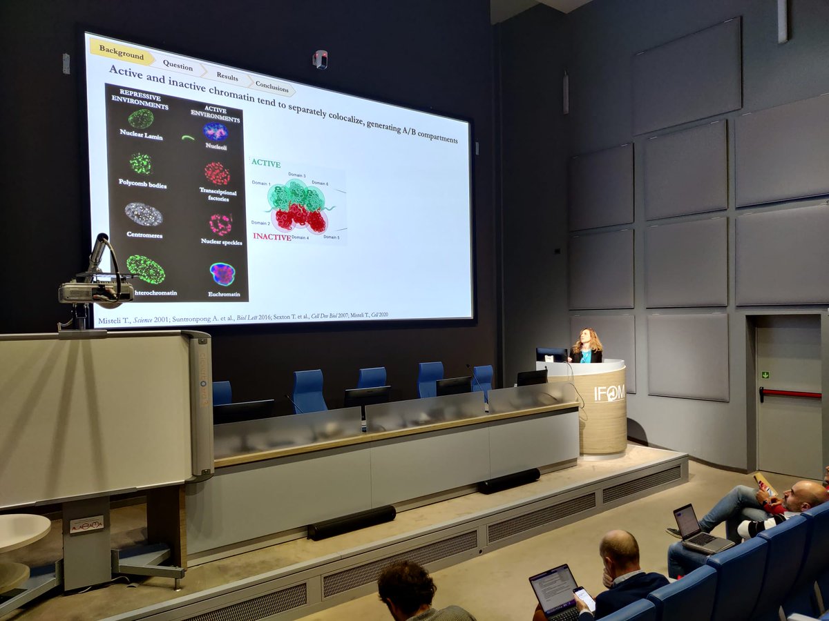"Just talking about another amazing method to study what is inside our nucleus" Federica Lucini explains "Biochemical properties of chromatin read by 4f-SAMMY-seq: mapping of euchromatin, heterochromatin and their 3D compartmentalization" #4DGenomics <a href="/Clockris/">Cristiano</a> @Federic17760448