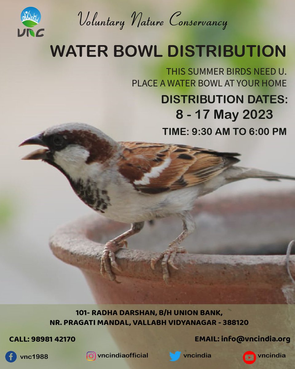 vncindia's tweet photo. "Beat the Heat, Save the Tweets! VNC's Cool Campaign: Water Bowls for Birds"
"This summer, be their oasis! Join us and place a water bowl at your home to keep our feathered friends hydrated and happy."
#vncindiaofficial #vncusa #CoolCampaign #BirdsNeedWater https://t.co/pmenZuqekV