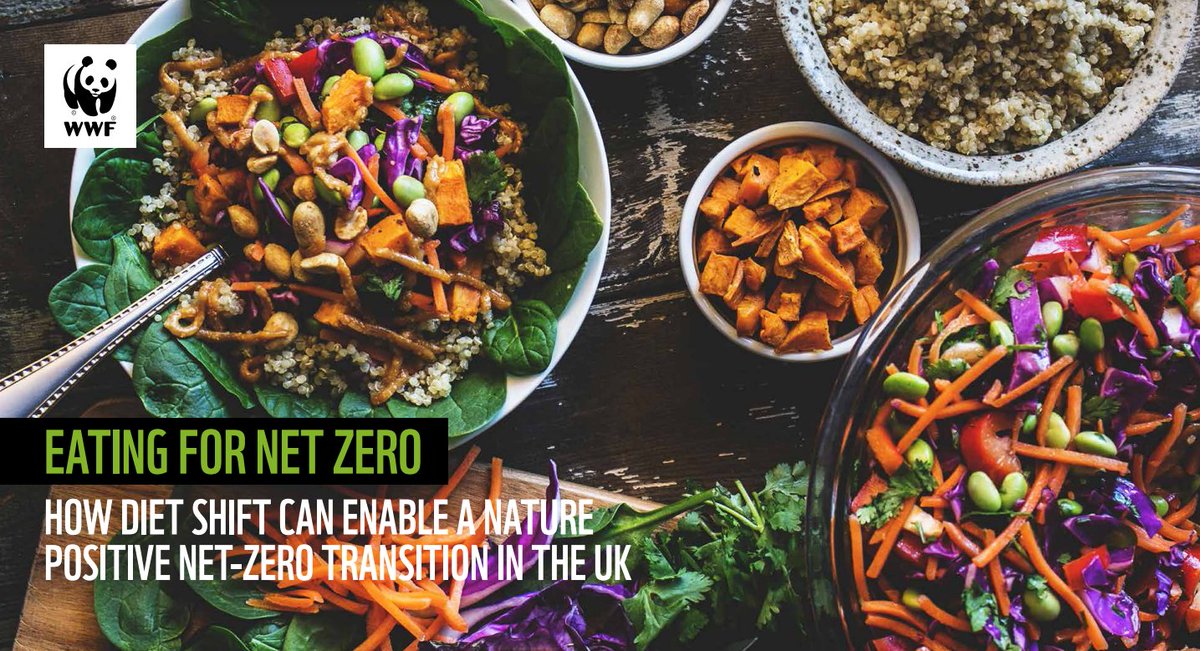 MEGA new report from <a href="/wwf_uk/">WWF UK</a> finds that adopting healthy, sustainable diets could deliver a 36% reduction in GHGs and a 20% reduction in biodiversity loss compared to the average UK diet today - while also supporting a transition to agroecology and regenerative farming. 🥳