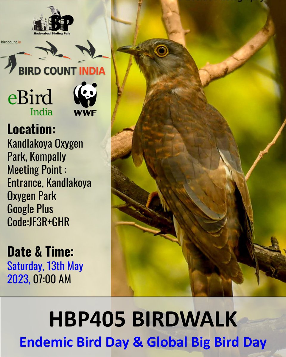 #HBP405 Birdwalk at @KandlakoyaOxyygen Park on 13May2023 in collaboration with @WWFINDIA @ebirdindia & @birdcountindia 
#telanganabirdinghotspot
#HBPBirdwalk
#sundaybirdwalks
#birding
#birdinghobby
#hyderabadbirdingpals
#birdwalks
#birdphotography
#birdphotographers
#birdwatchers