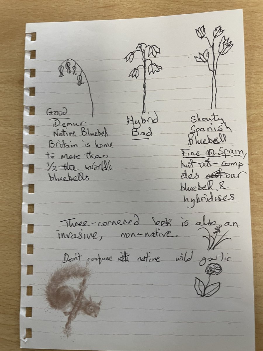 DevonRoz's tweet photo. Real life benefit of 1. Back to the office and 2. In house ecologists today- a bunch of flowers and notes on which ones we’re OK to pick!  (And yes that’s a light table in the background…) #rtpi #planning #bng https://t.co/JZjhv5rmP4