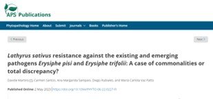 PlantxL's tweet photo. Are you a fan of #PowderyMildew #PartialResistant legumes? At @plantxL we are!!!!๐คฉ
Check our two most recent papers on #grasspea (#Lathyrus sativus) and #CommonBean (Phaseolus vulgaris).
@PhytopathologyJ @PlantDiseaseJ @greenit_bio4sus @itqbnova @PDResistLab @IAS_CSIC https://t.co/9S8nqGI4e4