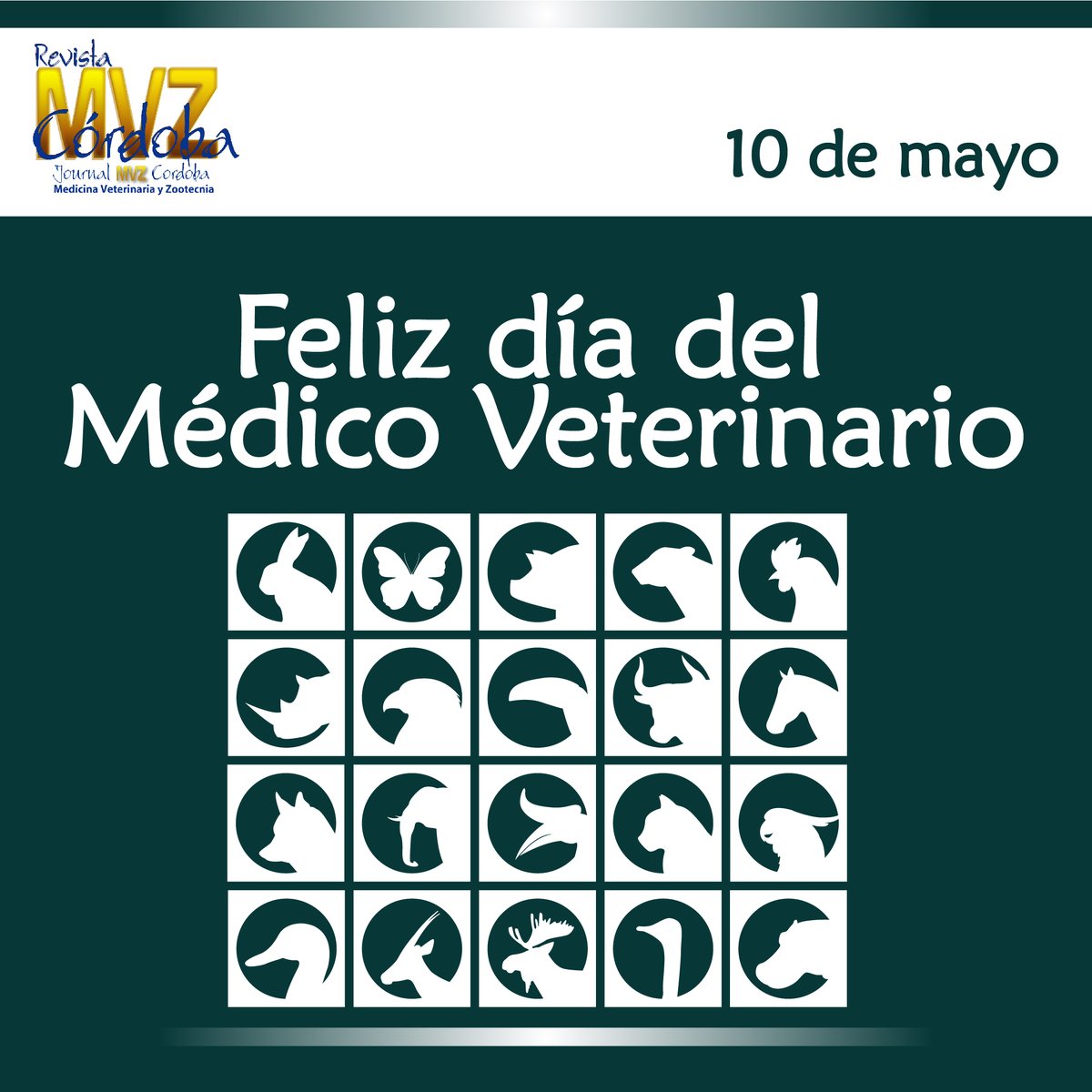 revmvz's tweet photo. Feliz día a los profesionales en medicina veterinaria que dedican su vida a la prevención, tratamiento de enfermedades de los animales y se ocupan de prevenir la zoonosis.
#diadelmedicoveterinario #diadelveterinario #veterinaria #Colombia https://t.co/xeJrvQ8uTQ