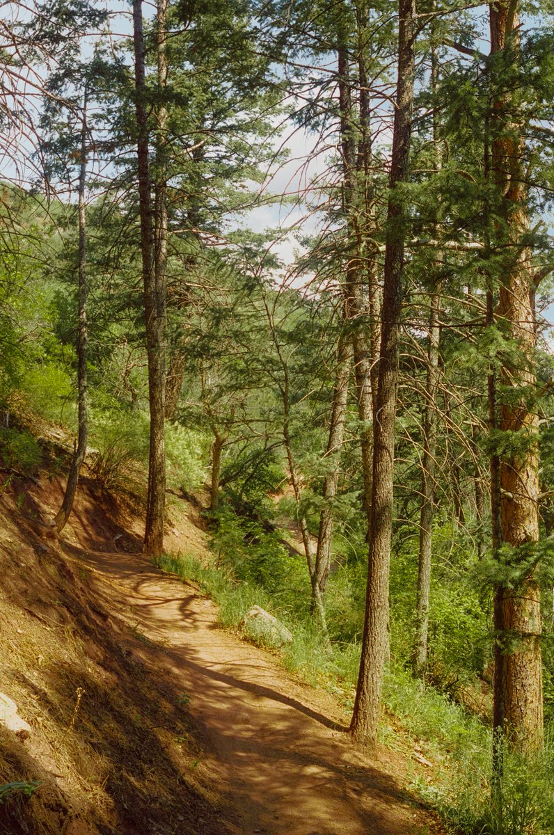 AlexKittoe's tweet photo. Scenes from a solo hike 🎞 https://t.co/pbk9bEUTa4