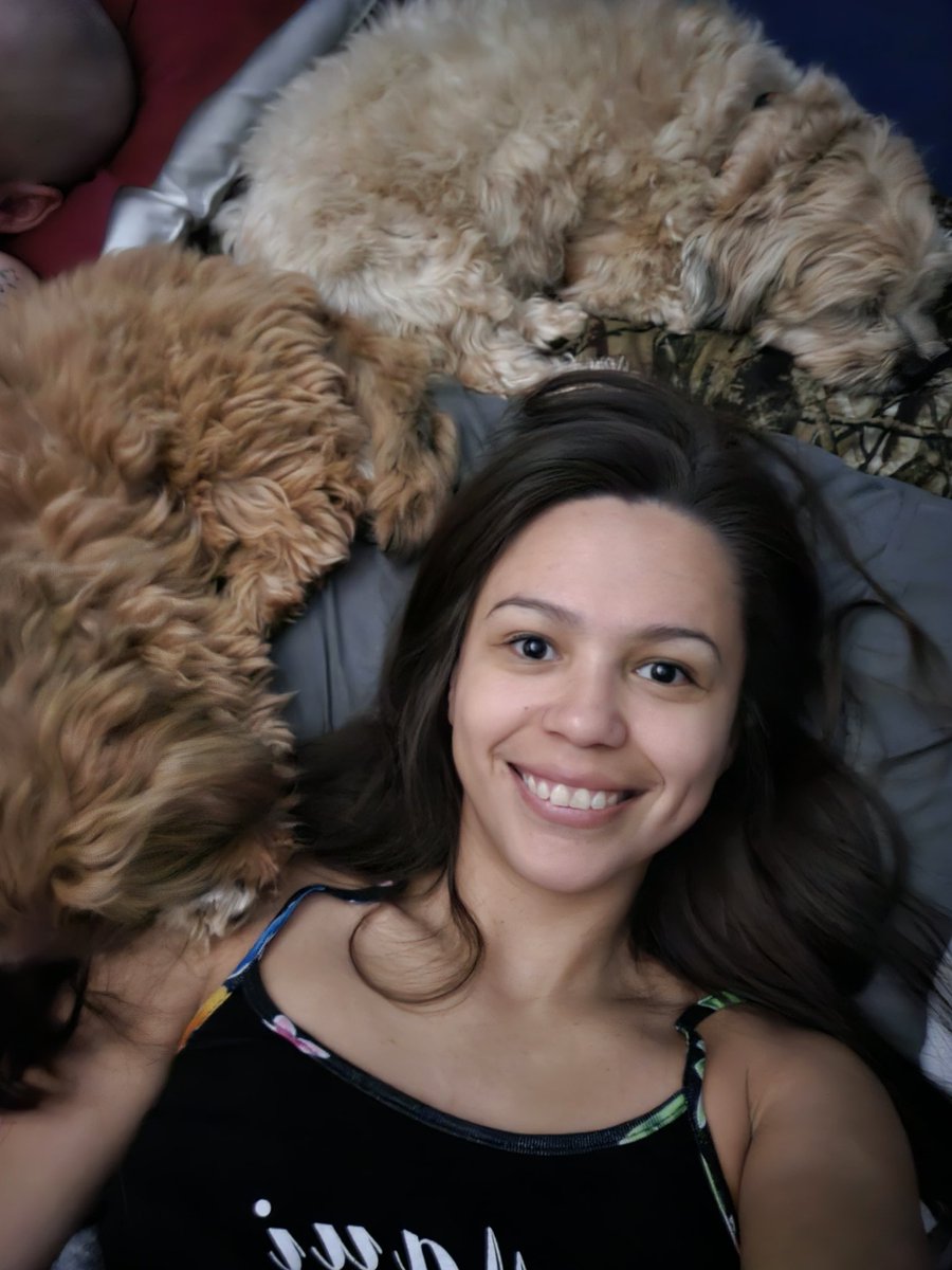 It's their bed.. we just use it 😜 #morningvibes